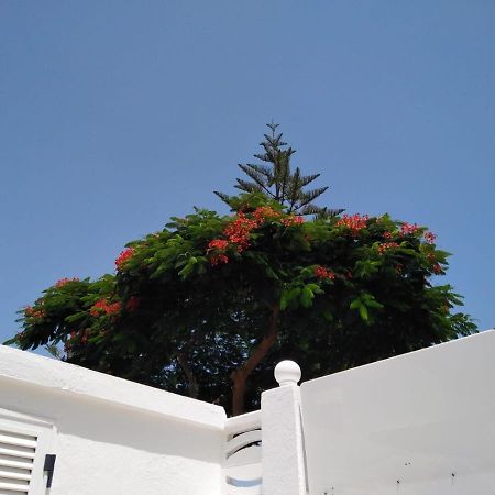 House Lilu - Luminoso Monolocale Apartment Arona  Exterior photo